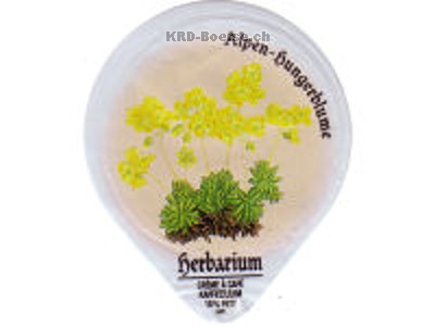 Serie 497 B "Herbarium"
