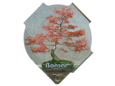 Serie 612 "Bonsai", Riegel