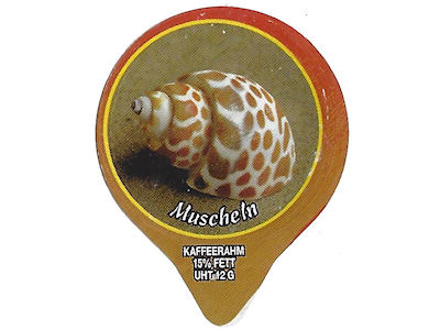 Serie 1.285 C \"Muscheln II\", AZM Gastro