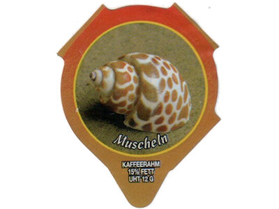 Serie 1.285 C "Muscheln II", AZM Riegel