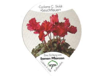Wyss Blumen "Cyclamen", Gastro