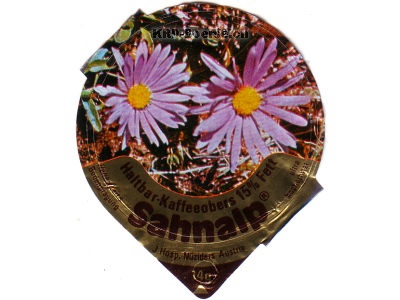Serie 5 I "Alpenblumen", Riegel