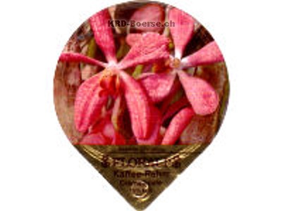 Serie 18 A "Orchideen", Gastro