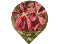 Serie 18 B "Orchideen", Gastro