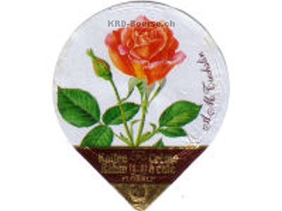 Serie 20 A "Rosen", Gastro