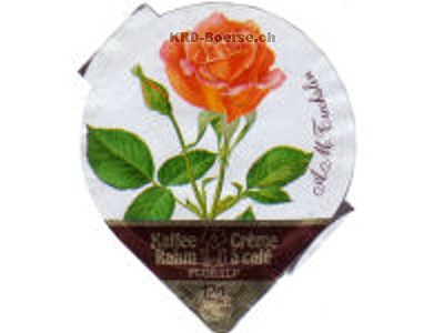 Serie 20 A "Rosen", Riegel