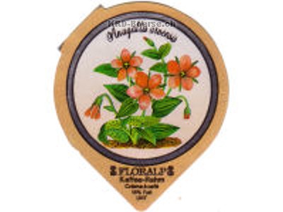 Serie 33 A "Wald- und Wiesenblumen", Riegel