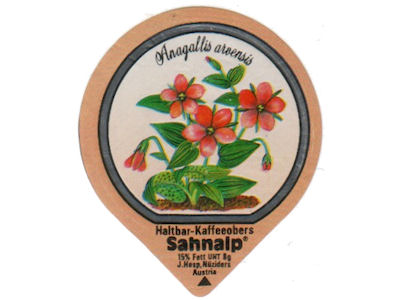 Serie 33 B "Wald- und Wiesenblumen", Gastro