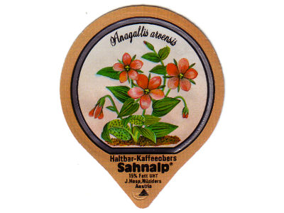 Serie 33 C "Wald- und Wiesenblumen", Gastro