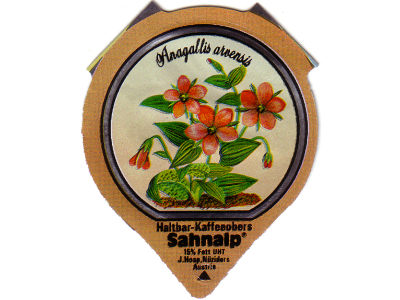 Serie 33 C "Wald- und Wiesenblumen", Riegel