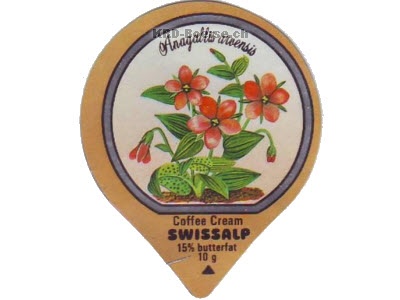 Serie 33 D "Wald- und Wiesenblumen", Gastro