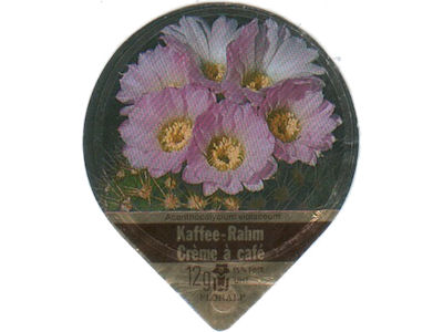 Serie 46 A "Kakteen", Gastro