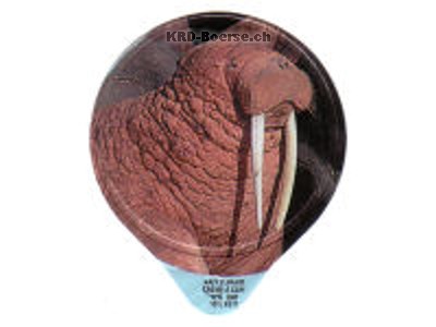 Serie 238 A "Polarwelt", Gastro