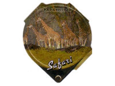 Serie 242 B \"Safari\", Riegel