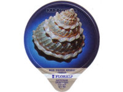 Serie 333 A "Muscheln", Gastro
