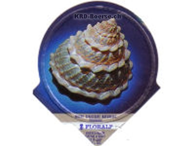 Serie 333 B "Muscheln", Riegel