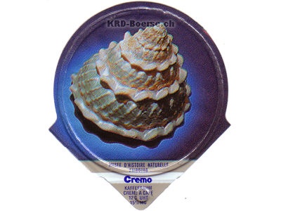 Serie 333 D "Muscheln", Riegel