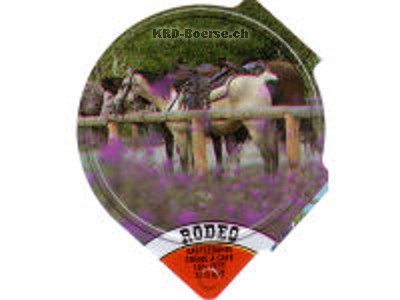 Serie 364 B "Rodeo", Riegel