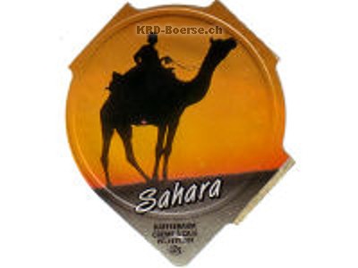 Serie 373 B \"Sahara\", Riegel