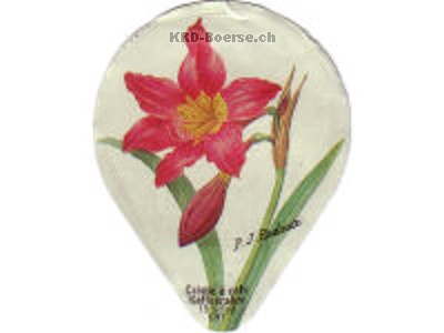 Serie 412 B "Blumen und Früchte"