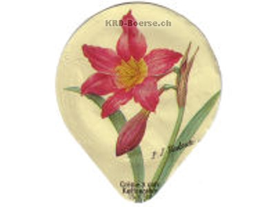 Serie 412 F "Blumen und Früchte"