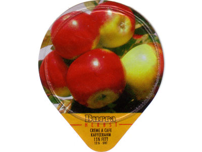 Serie 446 C "Herbst"