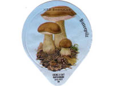 Serie 485 A "Pilze"