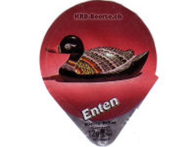 Serie 563 "Enten", Riegel