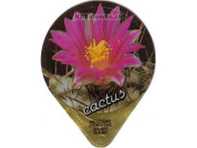 Serie 571 "Kaktus", Gastro