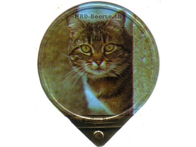 Serie 629 "Katzen", Gastro