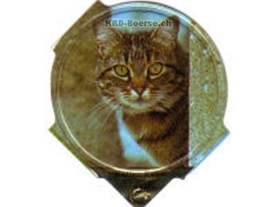 Serie 629 "Katzen", Riegel