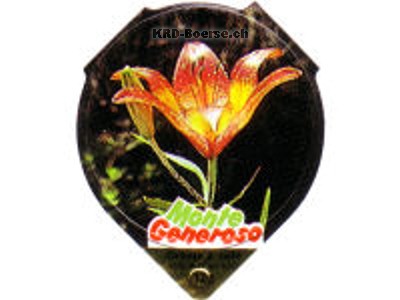 Serie 635 \"Monte Generoso\", Riegel