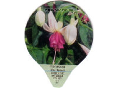 Serie 735 "Fuchsien", Gastro