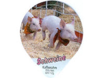 Serie 883 B "Schweine"