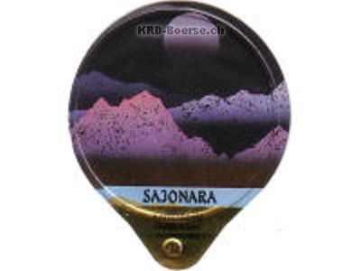 Serie 1.113 C "Sajonara", Gastro