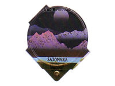 Serie 1.113 D "Sajonara", Riegel