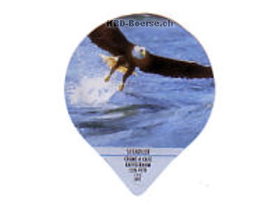 Serie 1.136 A "Seeadler", Gastro
