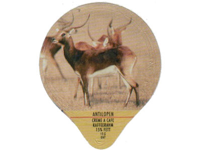 Serie 1.137 B "Antilopen", Gastro