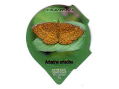 Serie 1.175 A "Papiliorama", Riegel