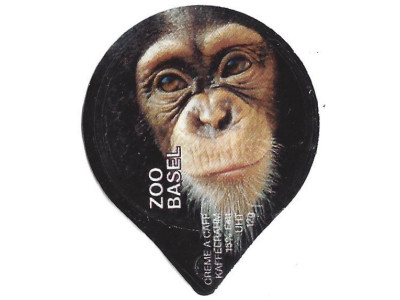 Serie 1.213 B "Basler Zoo", Gastro