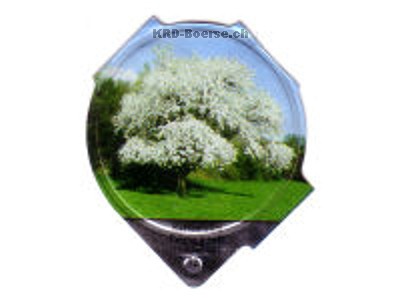 Serie 1.237 D "Bäume", Riegel