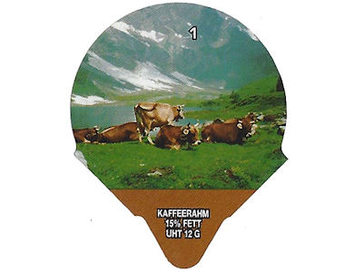 Serie 1.276 C "Braunvieh", Riegel