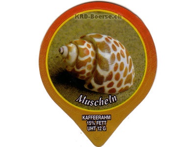 Serie 1.285 B \"Muscheln II\", Gastro