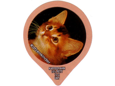 Serie 1.297 B "Katzenkinder II", Gastro