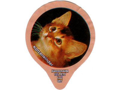 Serie 1.297 C "Katzenkinder II", Gastro