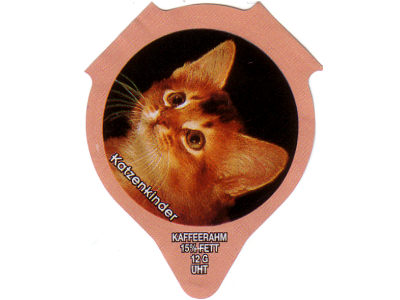 Serie 1.297 C "Katzenkinder II", Riegel