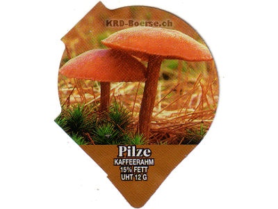 Serie 1.308 B "Pilze II", Riegel