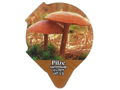 Serie 1.308 C "Pilze II", Riegel