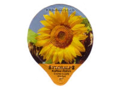 Serie 1.357 A "Sonnenblumen", Gastro