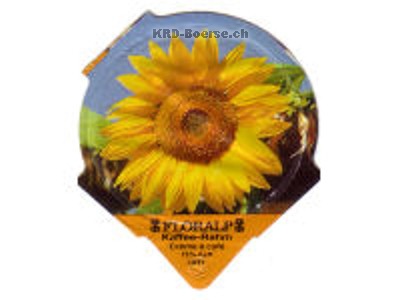 Serie 1.357 B "Sonnenblumen", Riegel